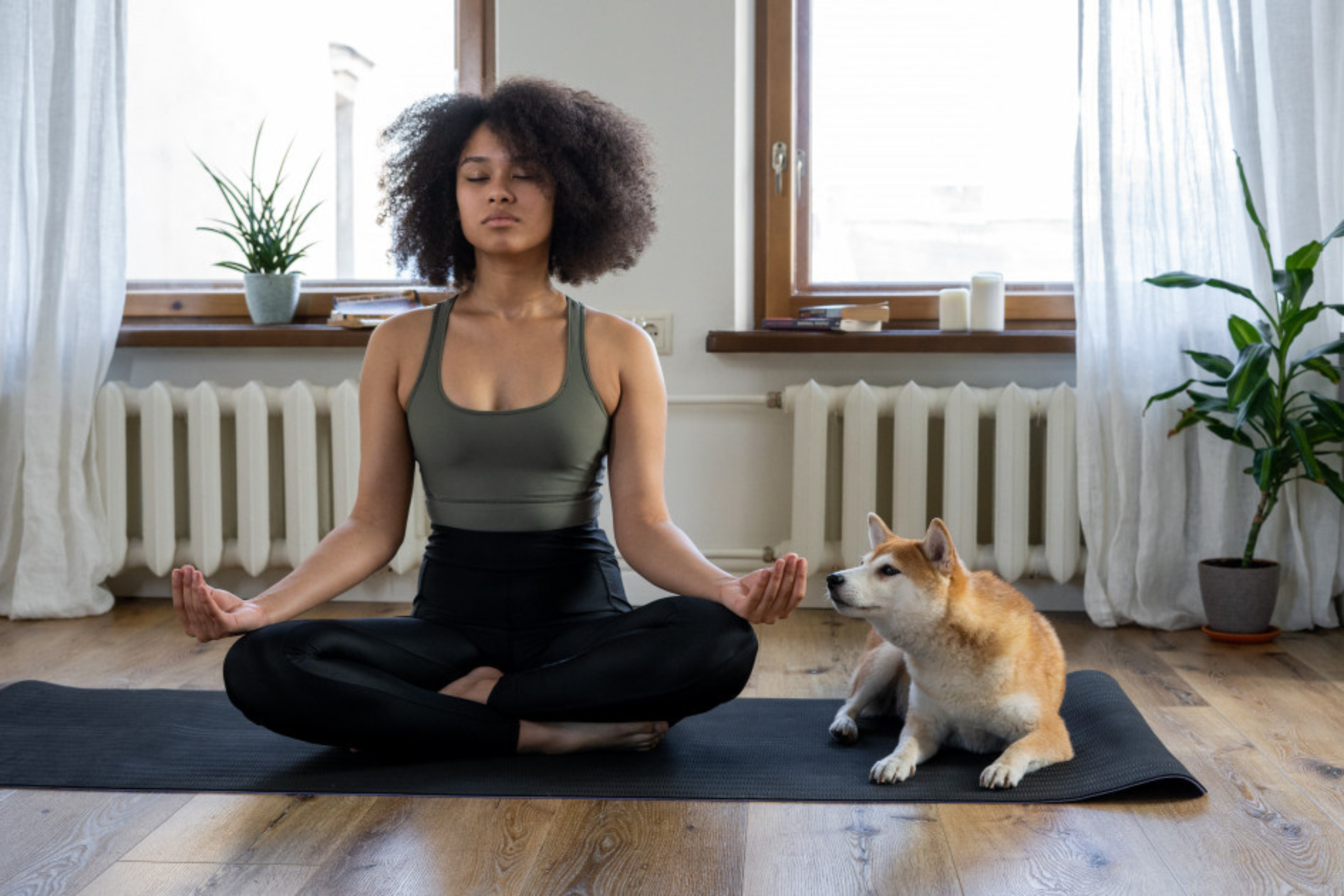 how to meditate at home, home meditation