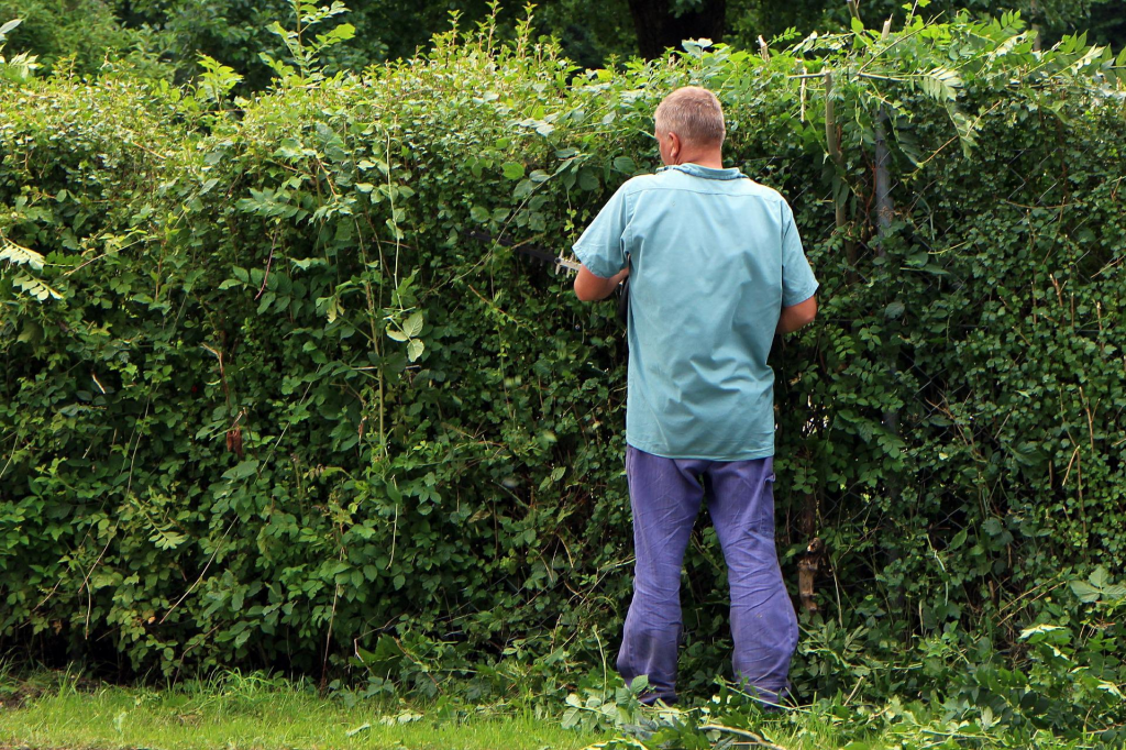 Trim Your Greenery