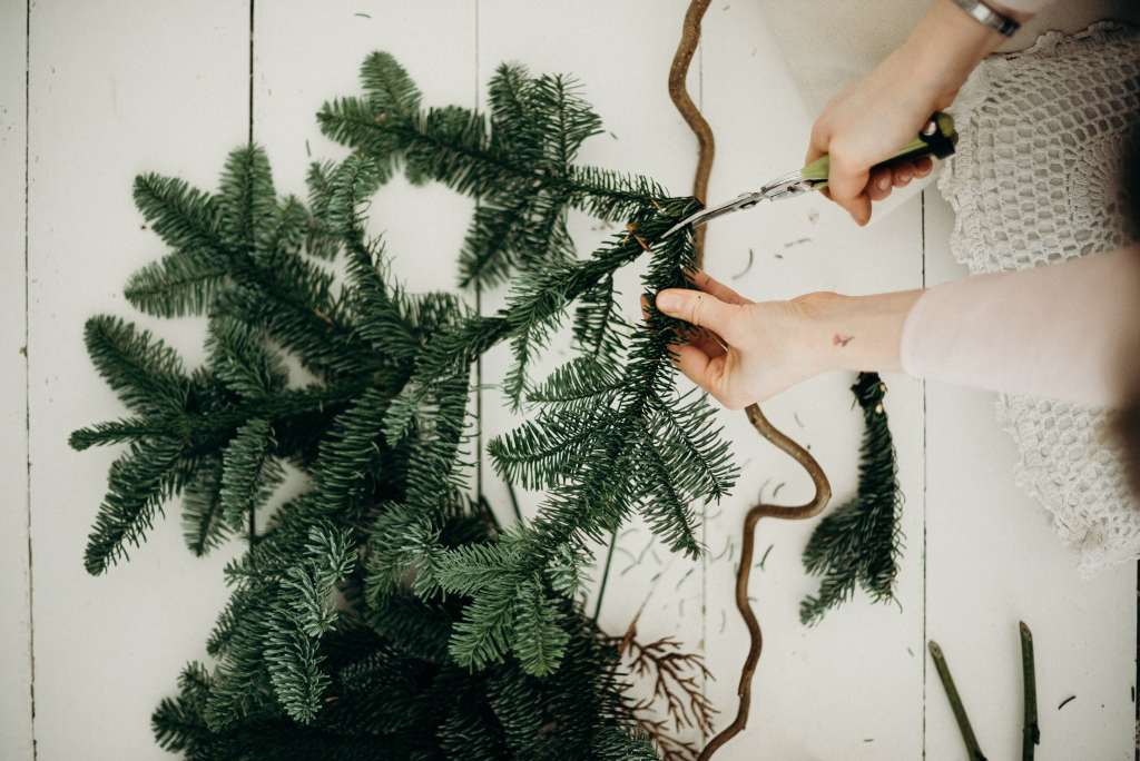 branches of Christmas tree