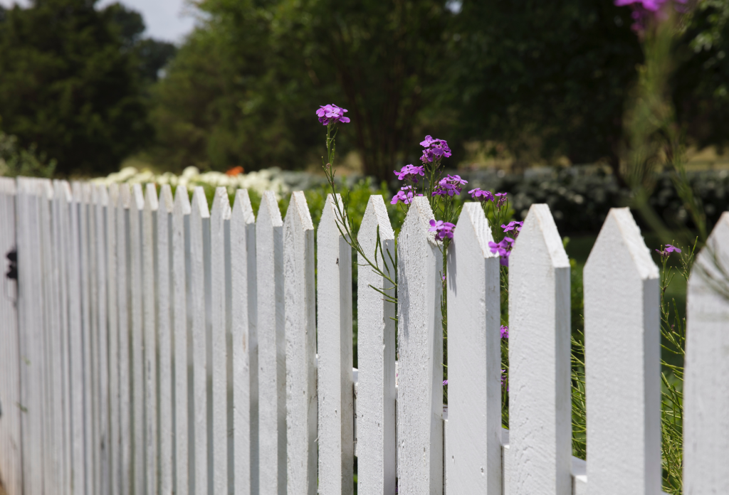 fences