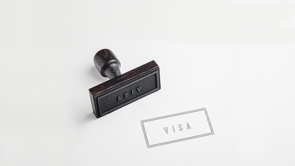 what are the 4 types of visa
