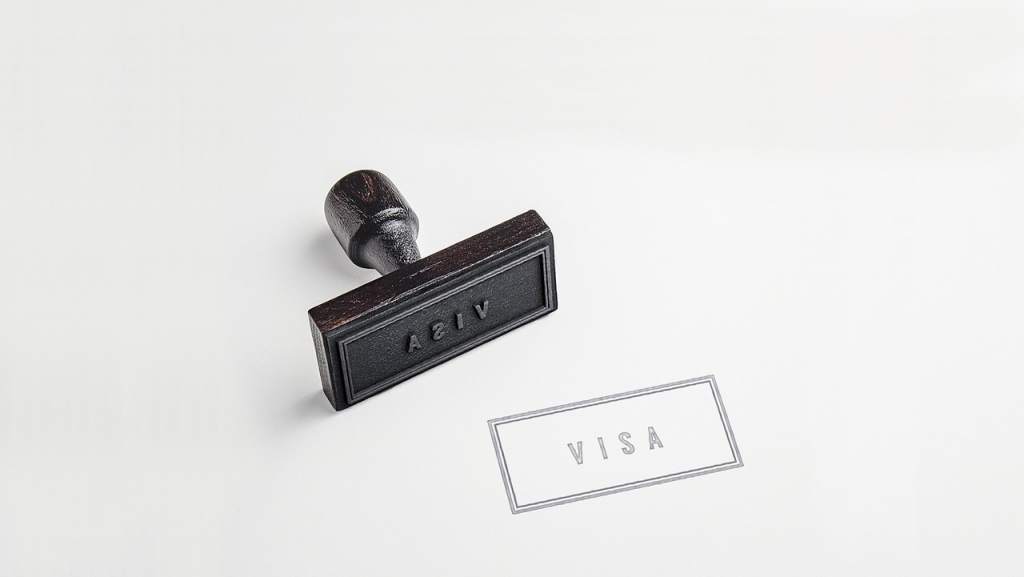 what are the 4 types of travel visa