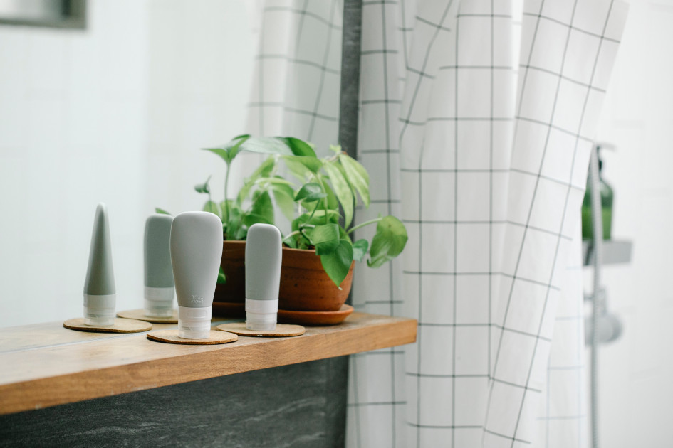 The Best Plants for Bathroom Smells