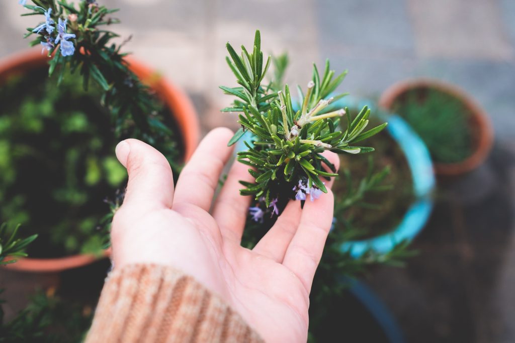 sustainable christmas decorations